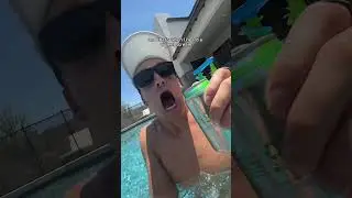 We found a mouse in our pool 