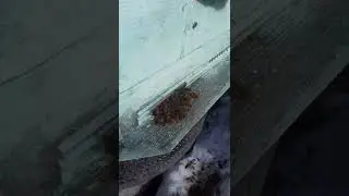 состояние семей