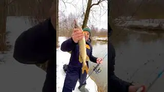 Ловля щуки весной 