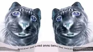 Meow Mix Tender Centers (2012-2013) In Deaf Major