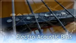 Virtual Electro Acoustic Bass Guitar from Bassesland Virtual Bass VST VST3 Audio Unit by Syntheway