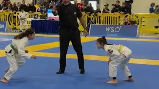 Two Loop Chokes, One Gold 🥇 | Bailey BJJ 2025 IBJJF San Jose Open | Jiu Jitsu Submissions