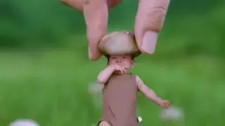 Kayfiyatni ko‘taramiz