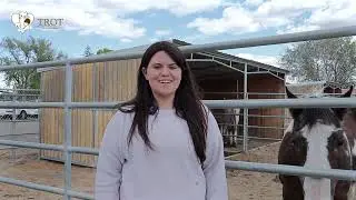 TROT's Horses