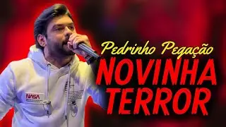 PEDRINHO PEGAÇÃO - NOVINHA TERROR | MÚSICA NOVA (JANEIRO 2024)