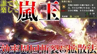 【効率周回】PS不要！誰でも10分で真ラスボスの嵐玉を超効率周回する方法！拡散ヘビィと斬裂速射の両刀がPS要らずで最高率！【MHRise】 第793話