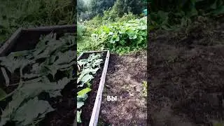 Стройка моего участника! Часть 6 #дача #огород