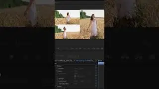 HOW TO CREATE SPLIT SCREEN EFFECT IN PREMIERE PRO PART 1 | 
