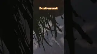 Упал Вставай Раст он же Rust #rust #раст