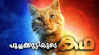 പൂച്ചക്കുട്ടിയുടെ കഥ  |  Kid's Story
