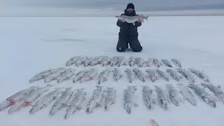КАЗАХСТАН ТОРГАЙ! Первый лёд 10 НОЯБРЬ..