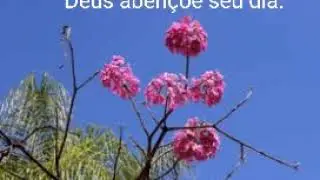 Bom dia, otima semana!