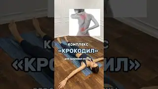 Комплекс «Крокодил» для здоровой спины.