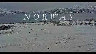 A Bucket List Vacation Visiting Oslo and Seeing The Northern Lights in Tromso!