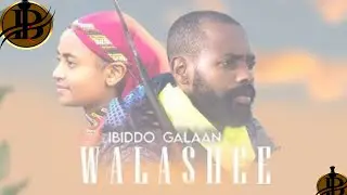 Ibiddo Galaan-- Walashee- New Oromo Music Reaction 2022