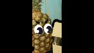 Poll DOODLEs video ||OMG DOODLES 
