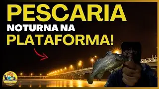 Pescaria na Plataforma a noite luz atrativa pra peixes ? pegamos muitos peixes !