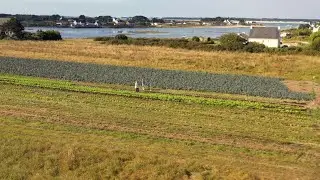 Les producteurs locaux de Carnac