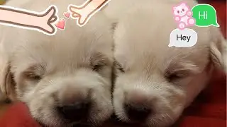 Say Hi to a Friend