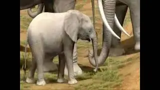 Afrika part Part 3 -Martin von Auen