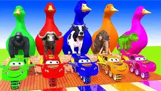 5 Giant Duck Cartoon,Tiger,Cow,rabbit,Zebra,Dinosaur,Dog,Cat Wild Animals Crossing Fountain 2023