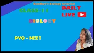 PYQ-Sexual Reproduction of Flowering Plants - NEET- Previous year questions discussion
