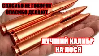 ЛУЧШИЙ КАЛИБР НА ЛОСЯ