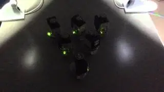 Swarm Behavior - Oscillator sync