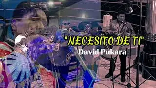 Necesito de ti - DAVID PUKARA