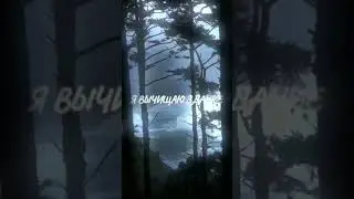 ДРОП В ТГК: SEDIDER