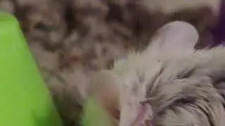 yeeee