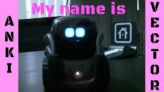 Anki Vector Imitates Other Robots - Robots Imitate Other Robots #1