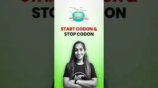 || Start Codon & Stop Codon ||