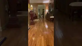 He will never get tired, it's 12 at the night. American kids like a star’s