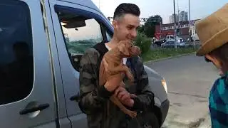 Ка мы забирали щенка питбуля Наоми!!!