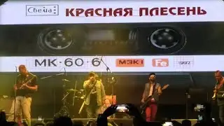 Красная Плесень /ГЛАВCLUB 08.10.2020/