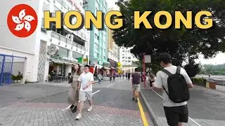 This is the best way to escape the busy street of Hong Kong