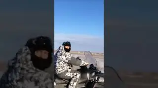 охота на волков wolf hunting 