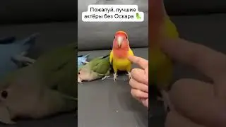Пожалуй лучший актер без Оскара!