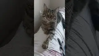 Брови пощупаешь? 