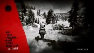 Red Dead Redemption 2 why lol