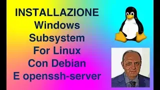 Windows 10 with WSL ie Windows Subshystem for Linux and with Debian as Linux