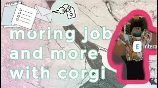 Morning routine with corgi
