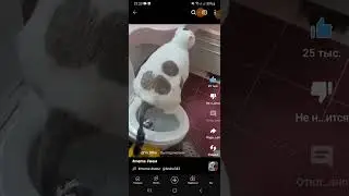 МЕМ