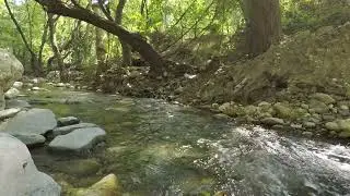 Mountain Stream Nature Sounds, Sounds of Nature, White Noise, Relaxing, ASMR
