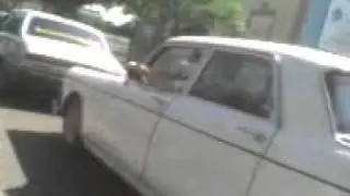 Leonsito Blanco 2 "404"