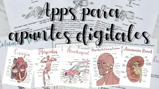 5 APPS QUE USO EN MIS APUNTES | Studiescah