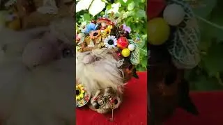 Домовой