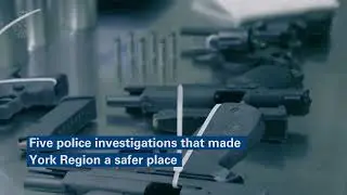 Top 5 Police Investigation from 2023