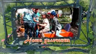 Д. С. -  " Золотой петушок"  2018. Студия "АВиС" Classic. тел: 89003708833